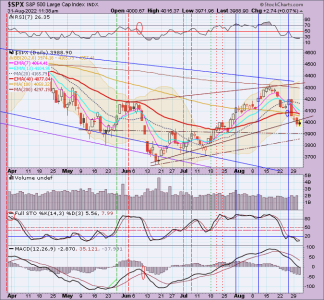 02 - C FUND - SPX DAILY.png