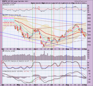 02 - C FUND - SPX DAILY.png