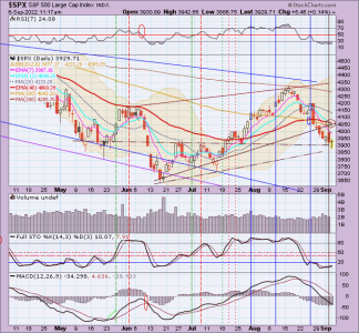 02 - C FUND - SPX DAILY.png