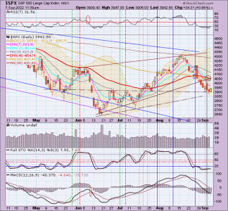 02 - C FUND - SPX DAILY.png