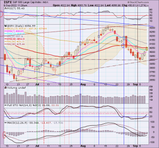 02 - C FUND - SPX DAILY.png