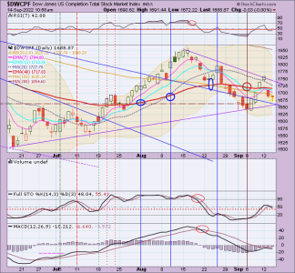 01 - S FUND - DWCPF DAILY.png