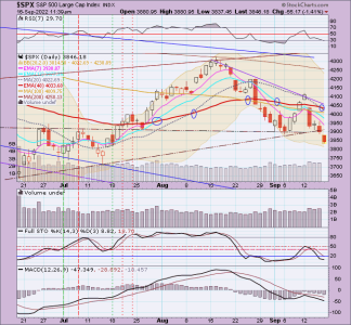 02 - C FUND - SPX DAILY.png