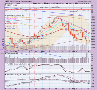 02 - C FUND - SPX DAILY.png