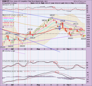 01 - S FUND - DWCPF DAILY.png