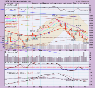 02 - C FUND - SPX DAILY.png