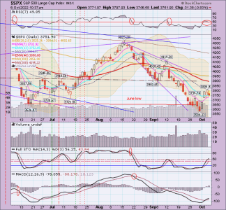 02 - C FUND - SPX DAILY.png