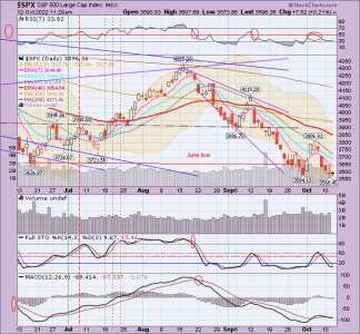 02 - C FUND - SPX DAILY.png