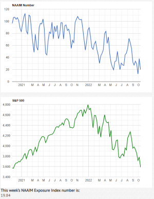 NAAIM 10-13-22.PNG