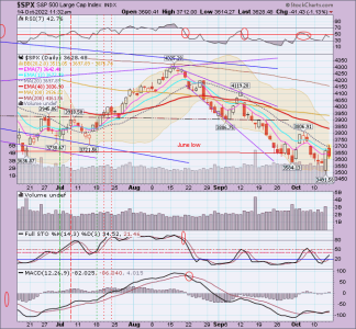 02 - C FUND - SPX DAILY.png