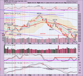 02 - C FUND - SPX DAILY.png