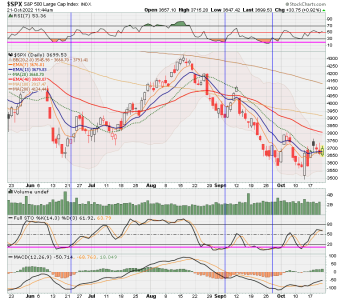 02 - C FUND - SPX DAILY.png