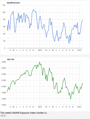 NAAIM-2-1-23A.PNG