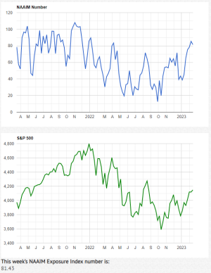 NAAIM2-15-23A.PNG