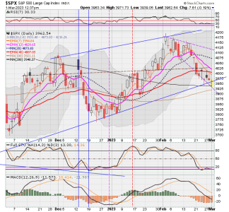 02 - C FUND - SPX DAILY.png