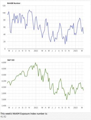 NAAIM3-15-23A.PNG