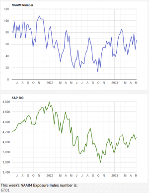 NAAIM5-3-23A.PNG