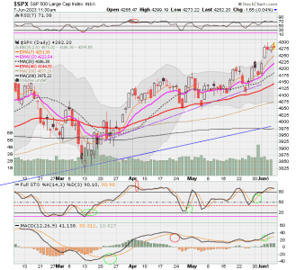 02 - C FUND - SPX DAILY.png