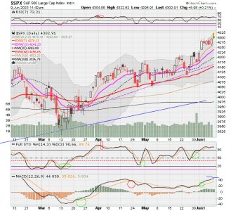 02 - C FUND - SPX DAILY.png