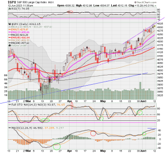 02 - C FUND - SPX DAILY.png