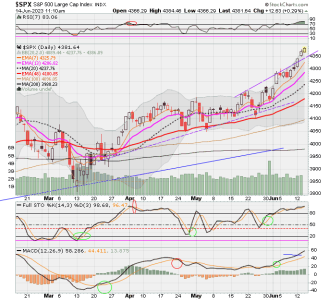 02 - C FUND - SPX DAILY.png