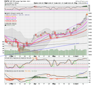 02 - C FUND - SPX DAILY.png