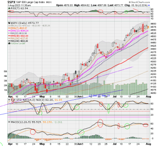 02 - C FUND - SPX DAILY.png