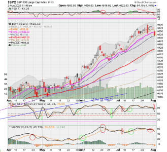 02 - C FUND - SPX DAILY.png