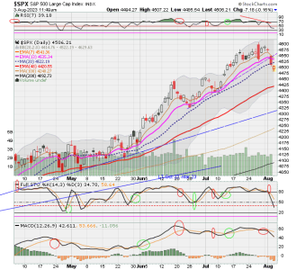 02 - C FUND - SPX DAILY.png