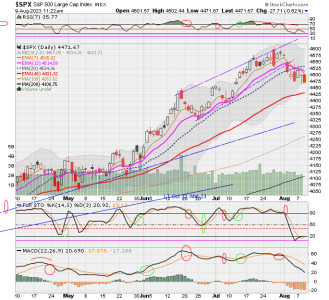 02 - C FUND - SPX DAILY.png