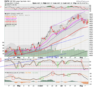 02 - C FUND - SPX DAILY.png