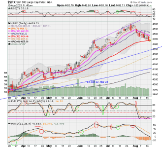 02 - C FUND - SPX DAILY.png