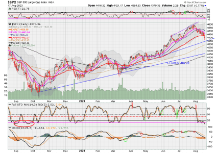 02 - C FUND - SPX DAILY.png