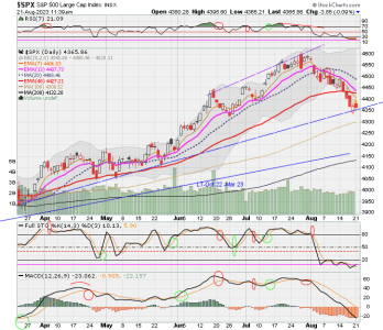 02 - C FUND - SPX DAILY.png