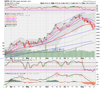 02 - C FUND - SPX DAILY.png