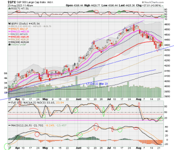 02 - C FUND - SPX DAILY.png