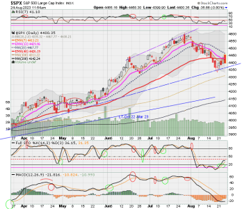 02 - C FUND - SPX DAILY.png