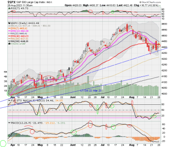 02 - C FUND - SPX DAILY.png