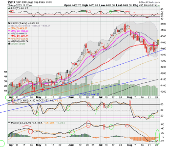 02 - C FUND - SPX DAILY.png