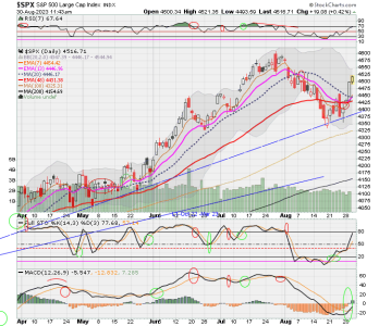 02 - C FUND - SPX DAILY.png