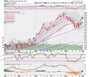 02 - C FUND - SPX DAILY.png