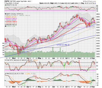 02 - C FUND - SPX DAILY.png