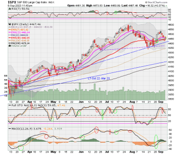 02 - C FUND - SPX DAILY.png