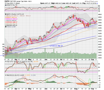 02 - C FUND - SPX DAILY.png