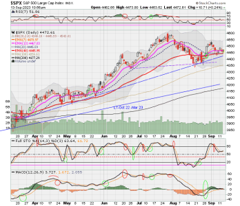 02 - C FUND - SPX DAILY.png