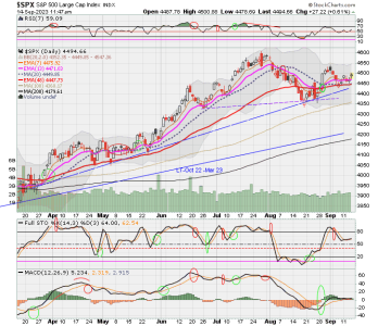 02 - C FUND - SPX DAILY.png