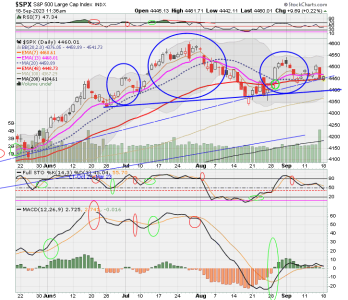 02 - C FUND - SPX DAILY.png