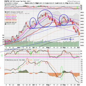 02 - C FUND - SPX DAILY.png