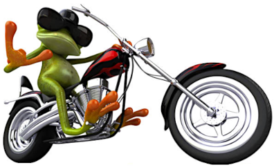 bikefrog2.PNG