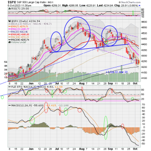 02 - C FUND - SPX DAILY.png